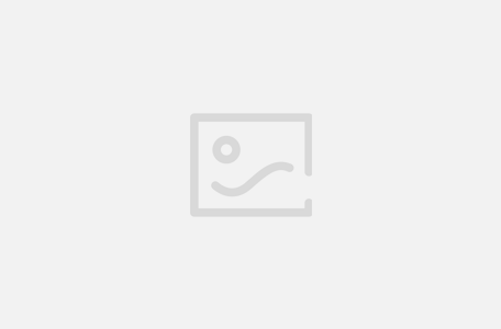 小绿鲸英文文献阅读器